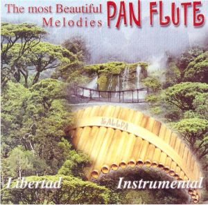 Unknown Artist - The Most Beautiful Pan Flute Melodies