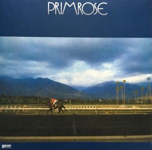 Hiromasa Suzuki Trio - Primrose (2019)