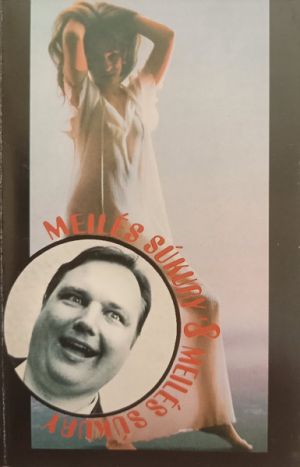 Various - Meilės Sūkury '8 (1995)