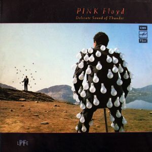 Pink Floyd - Delicate Sound Of Thunder (1989)