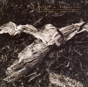 Holger Czukay / David Sylvian - Plight & Premonition (1988)