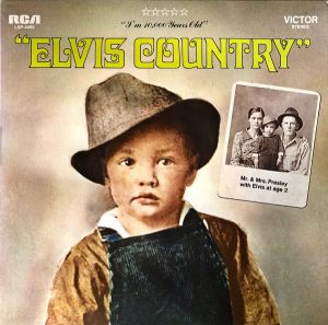 Elvis Presley - Elvis Country (I'm 10,000 Years Old)