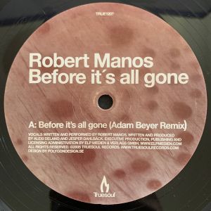 Robert Manos - Before It's All Gone (2005)