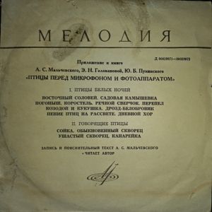 No Artist - Птицы Перед Микрофоном И Фотоаппаратом